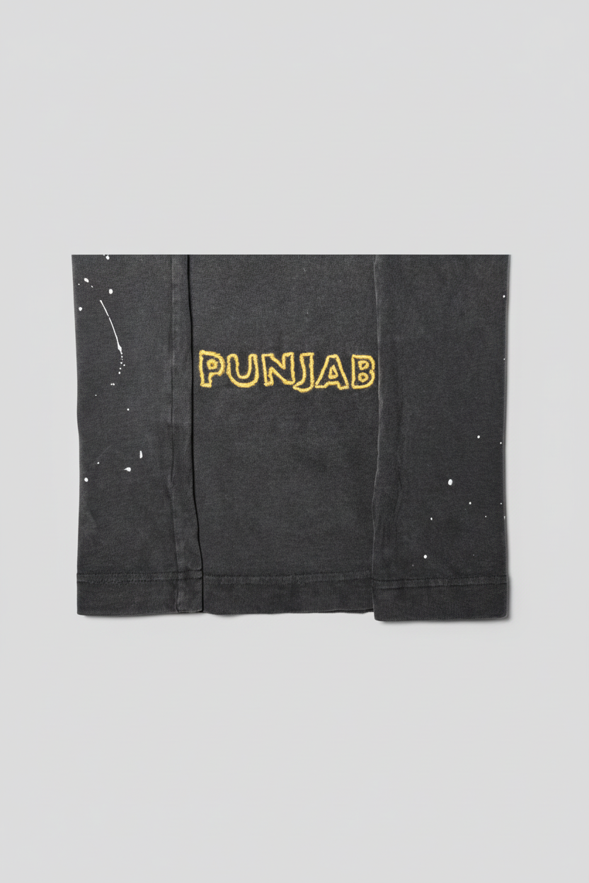 Dettaglio Punjab